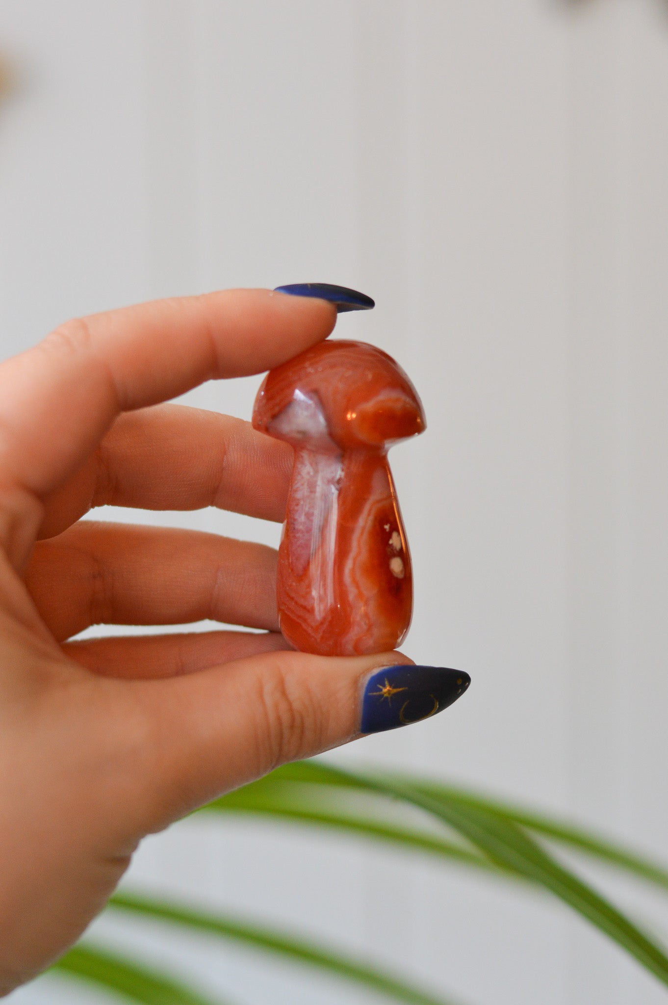 Carnelian Mushroom