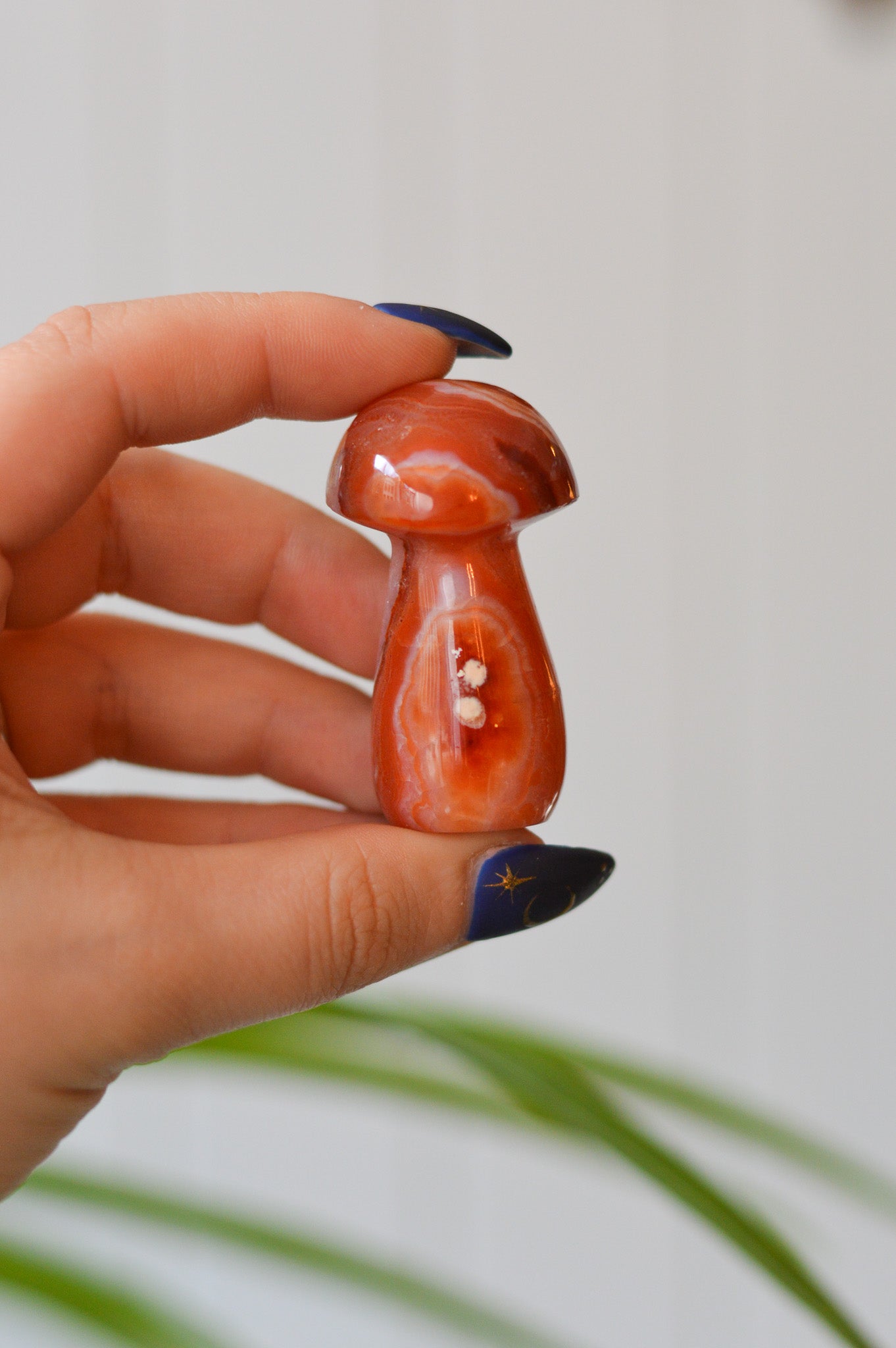 Carnelian Mushroom