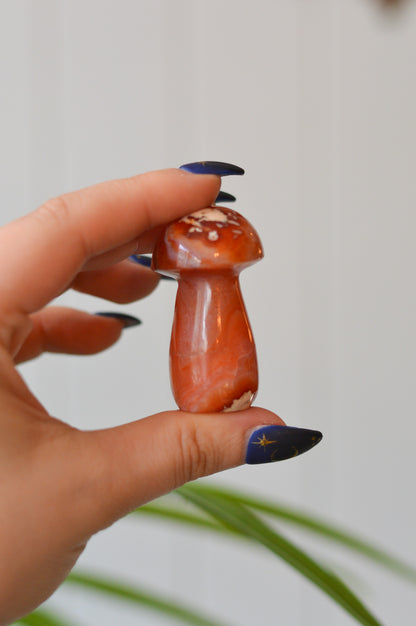 Carnelian Mushroom