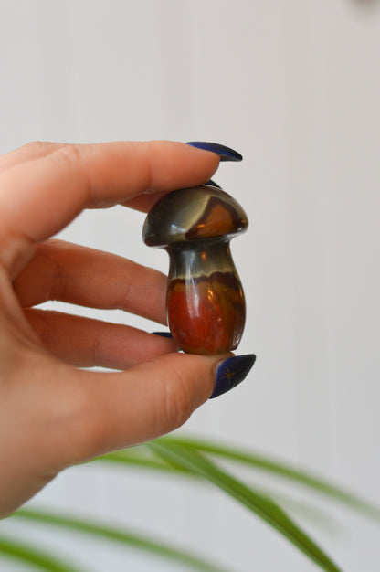 Polychrome Jasper Mushroom