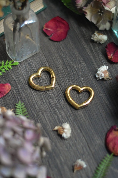 Heart Ear Weights