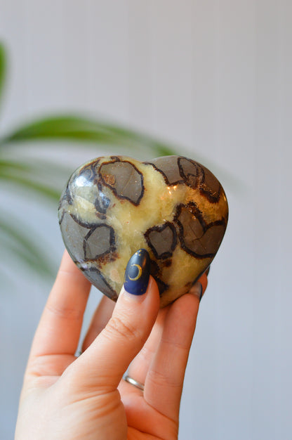 Septarian Heart