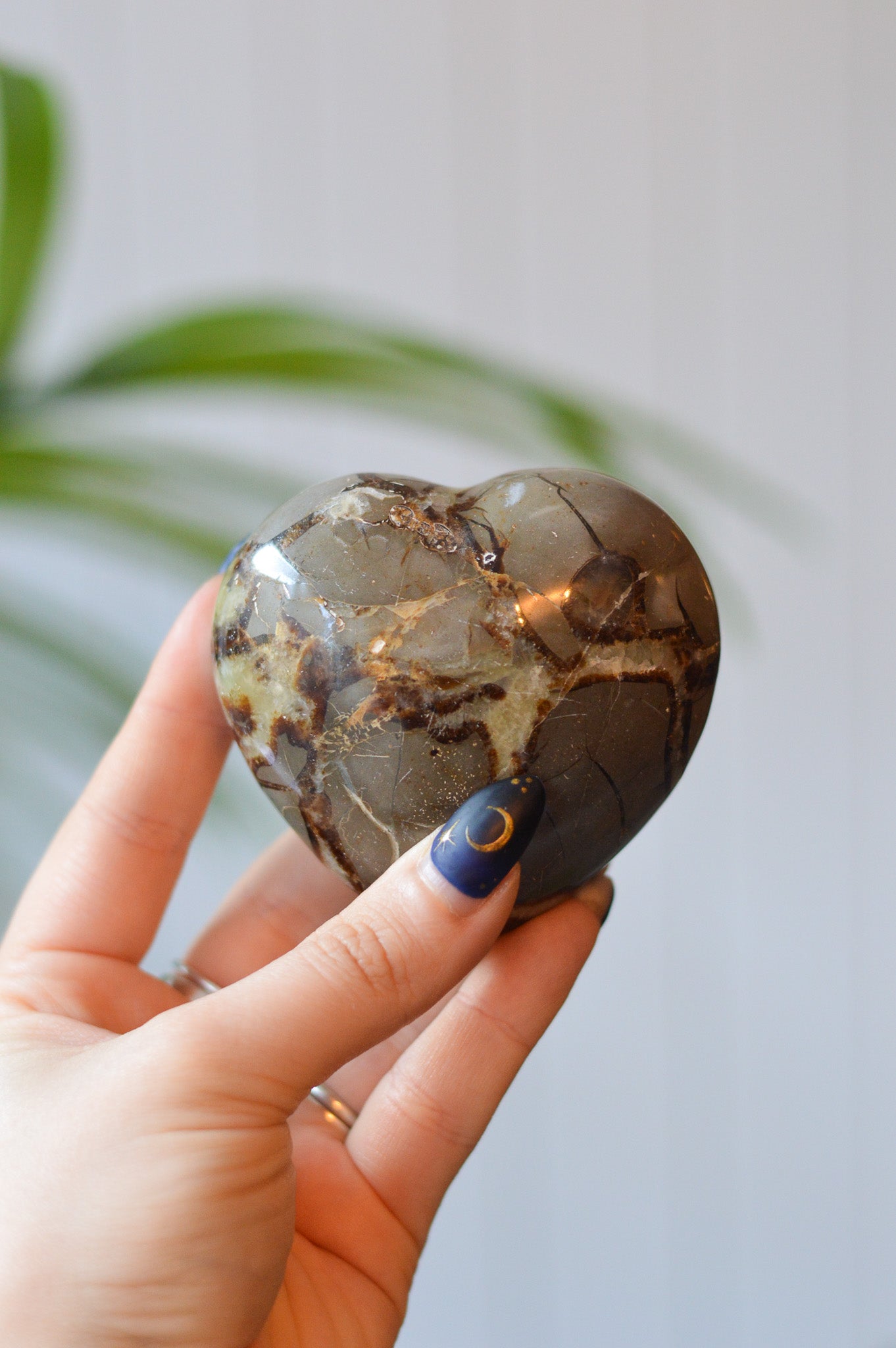 Septarian Heart