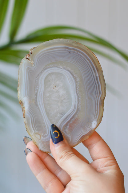 Grey Agate Slice