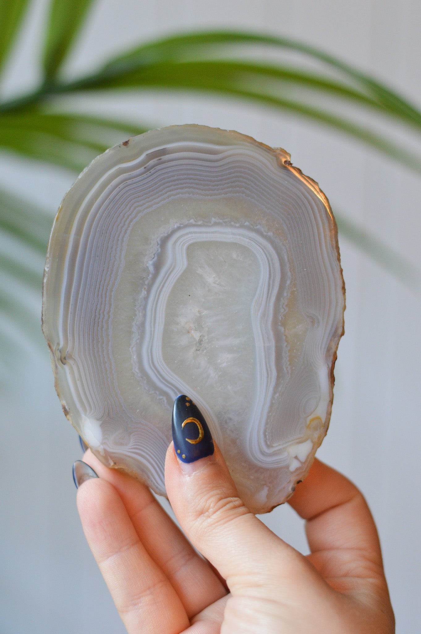 Grey Agate Slice