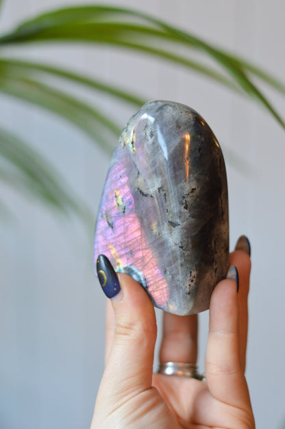 Purple Labradorite Standing Freeform