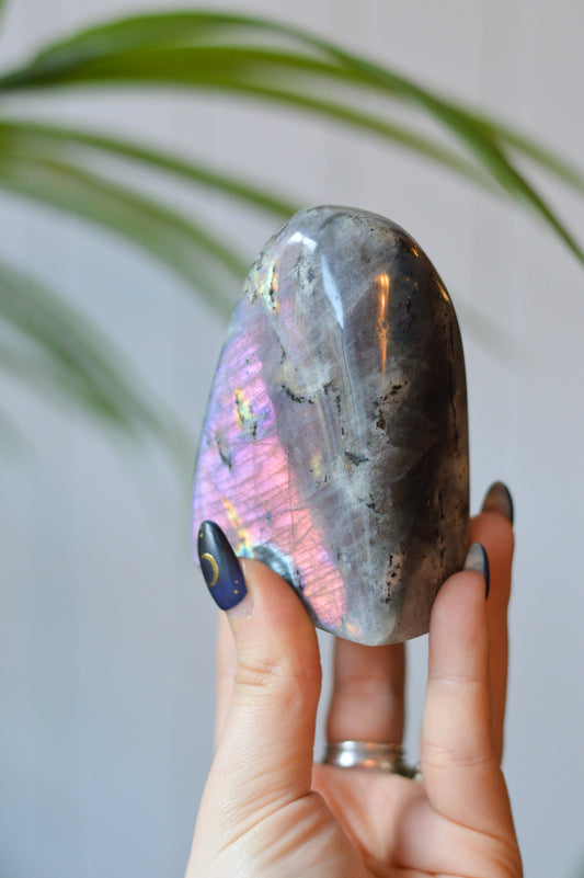 Purple Labradorite Standing Freeform