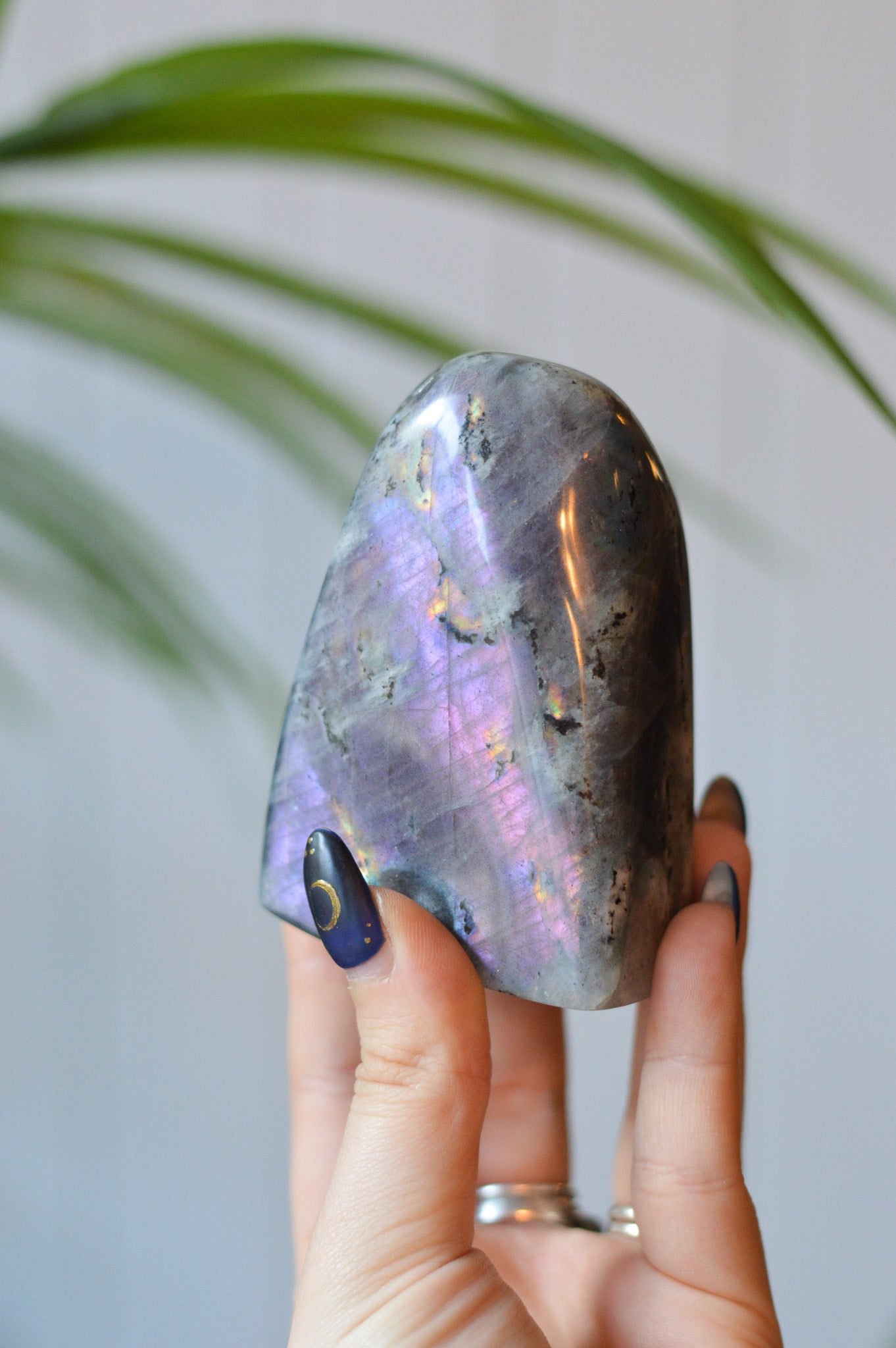 Purple Labradorite Standing Freeform