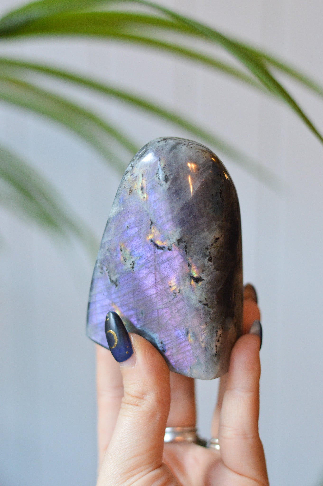 Purple Labradorite Standing Freeform