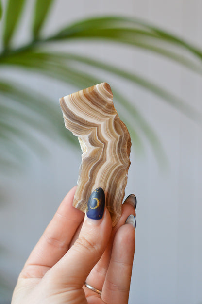 Caramel Agate Freeform