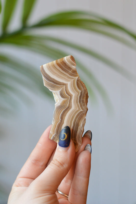 Caramel Agate Freeform