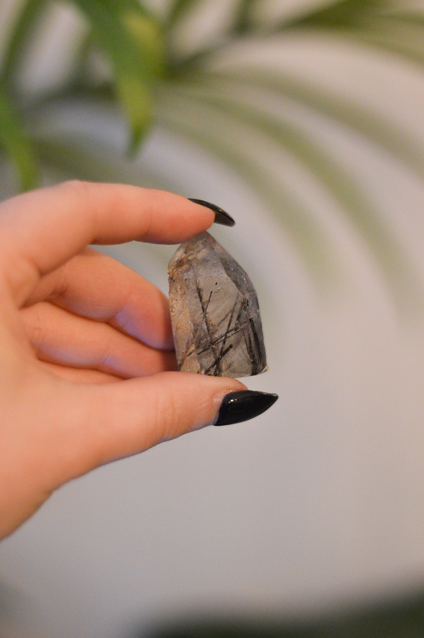 Tourmaline In Quartz Point