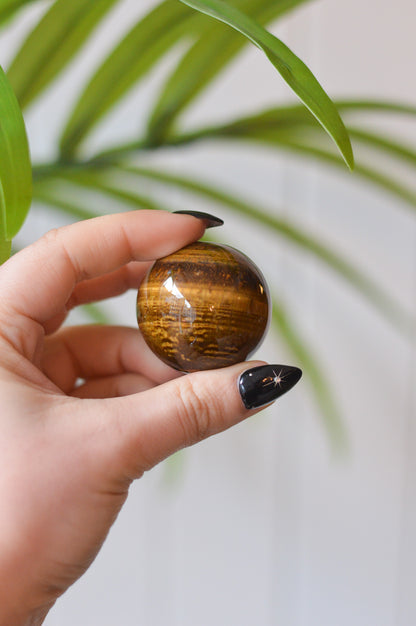 Tigers Eye Sphere