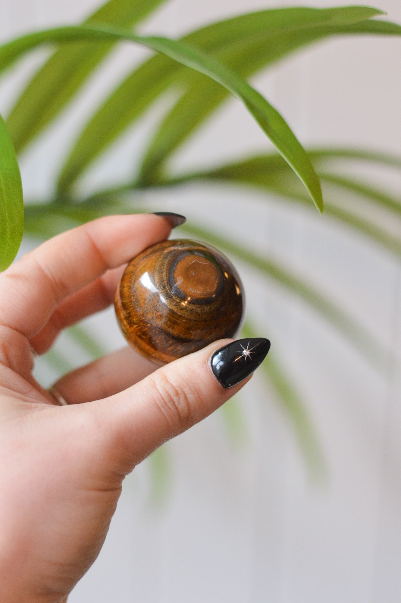 Tigers Eye Sphere