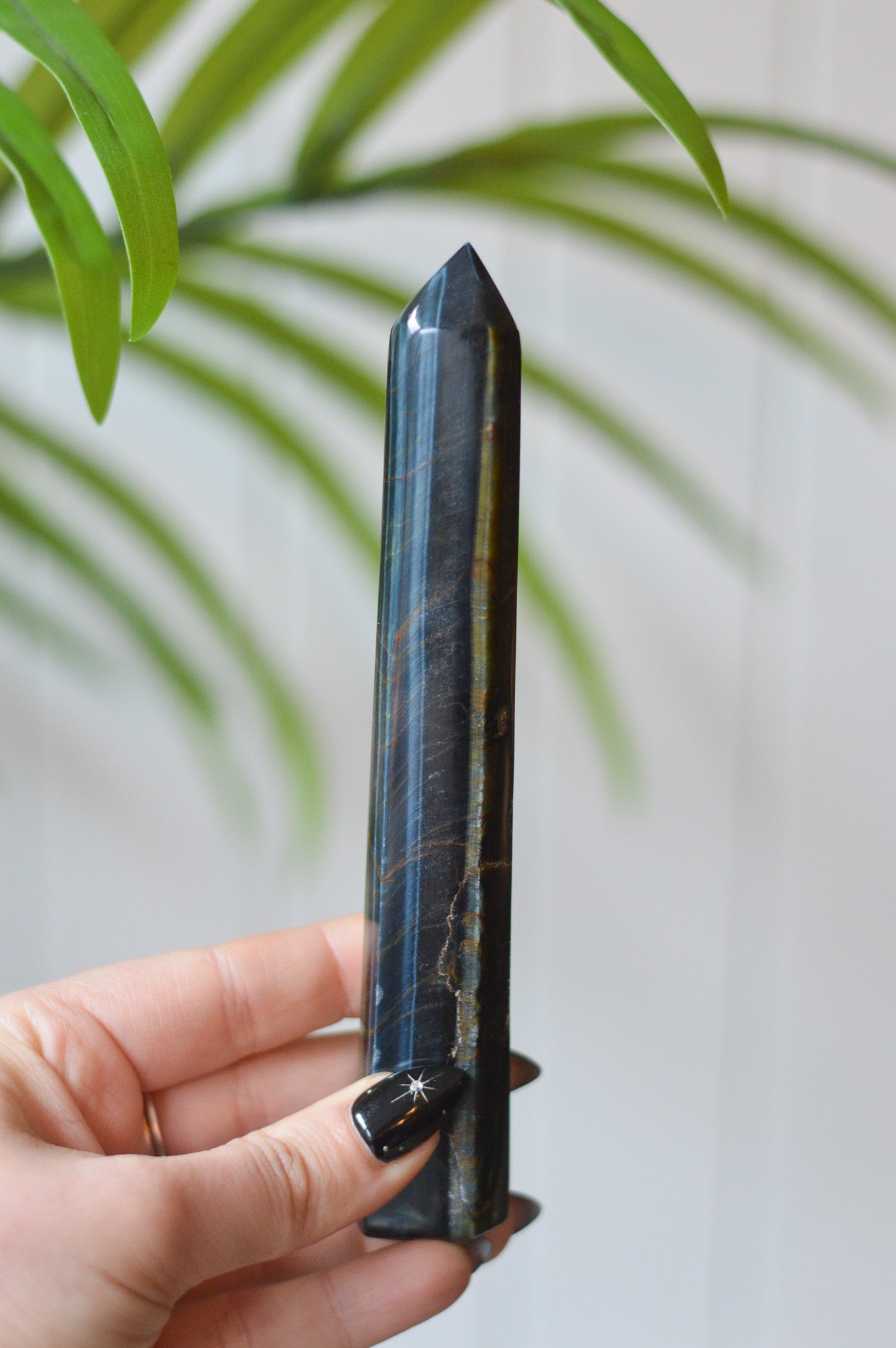 Blue Tigers Eye Point