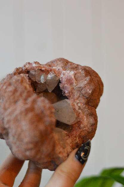 UV Reactive Calcite With Rare NATURAL "Aura" On Pink Amethyst Specimen