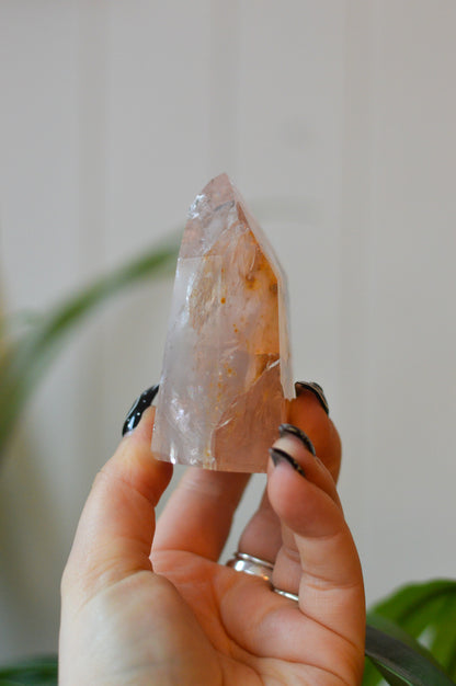 Rare Golden Healer X Rose Quartz Tower