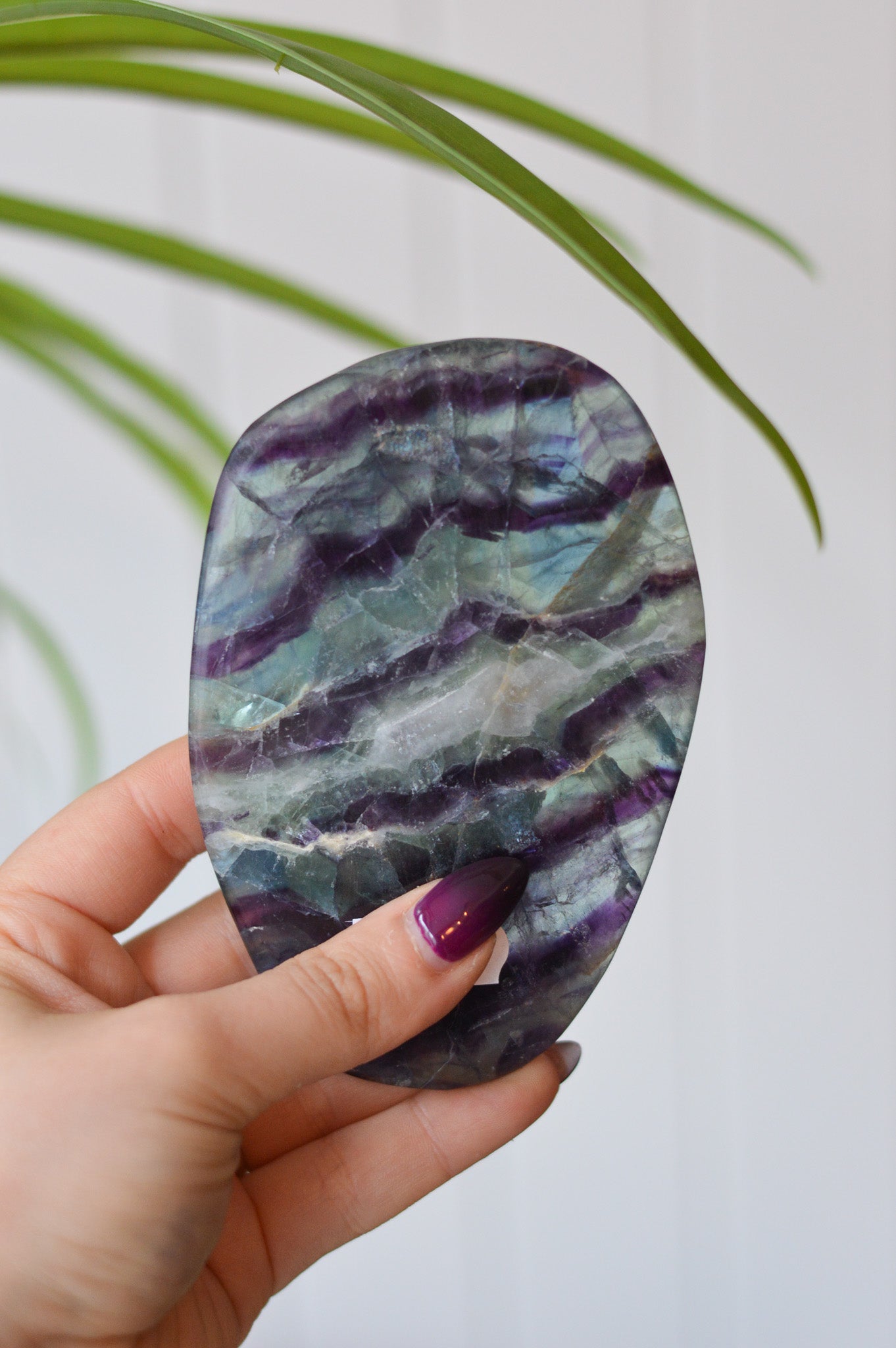 Watermelon Fluorite Freeform Slice