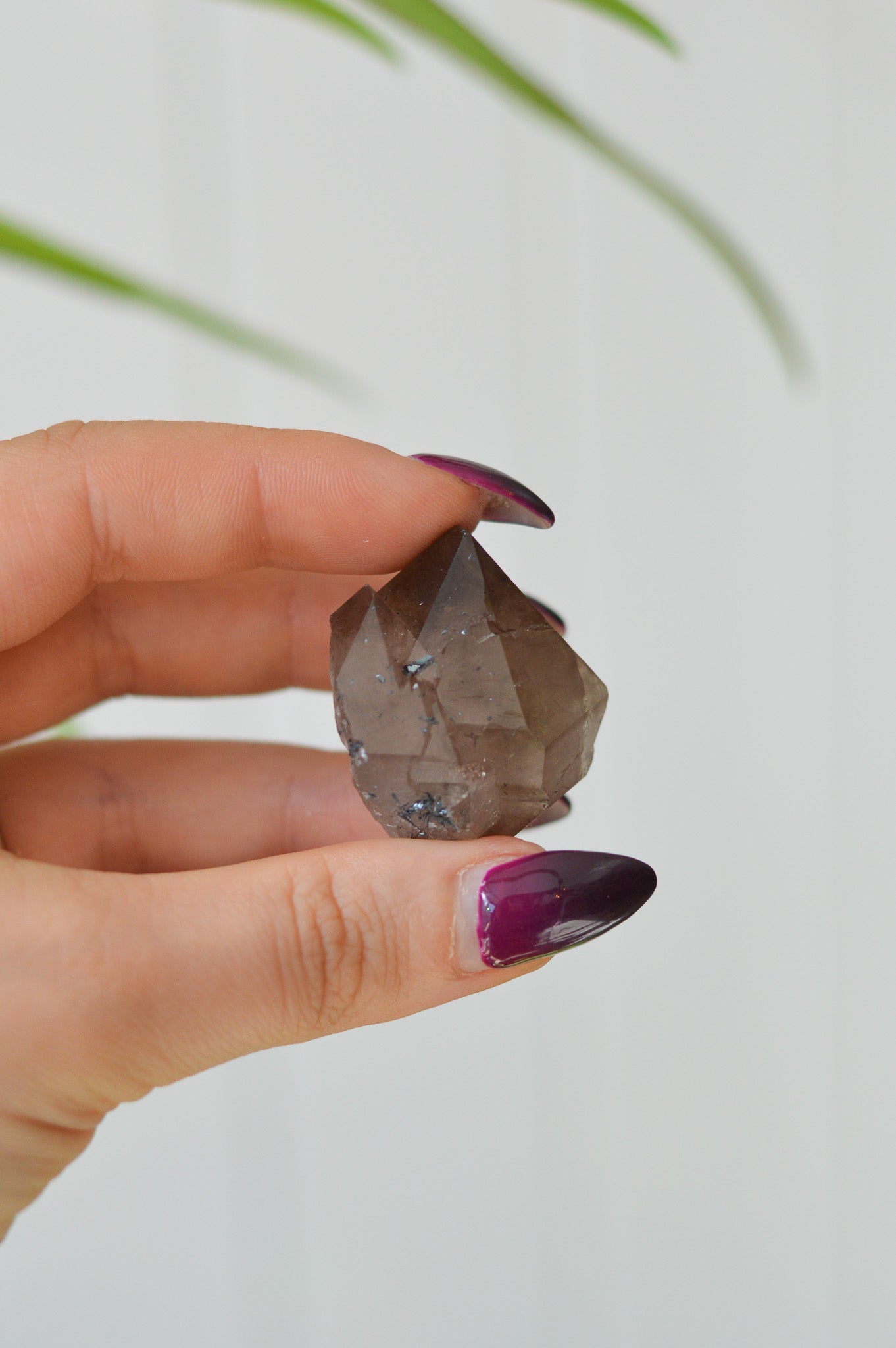 Cumbrian Smokey Quartz Specimen