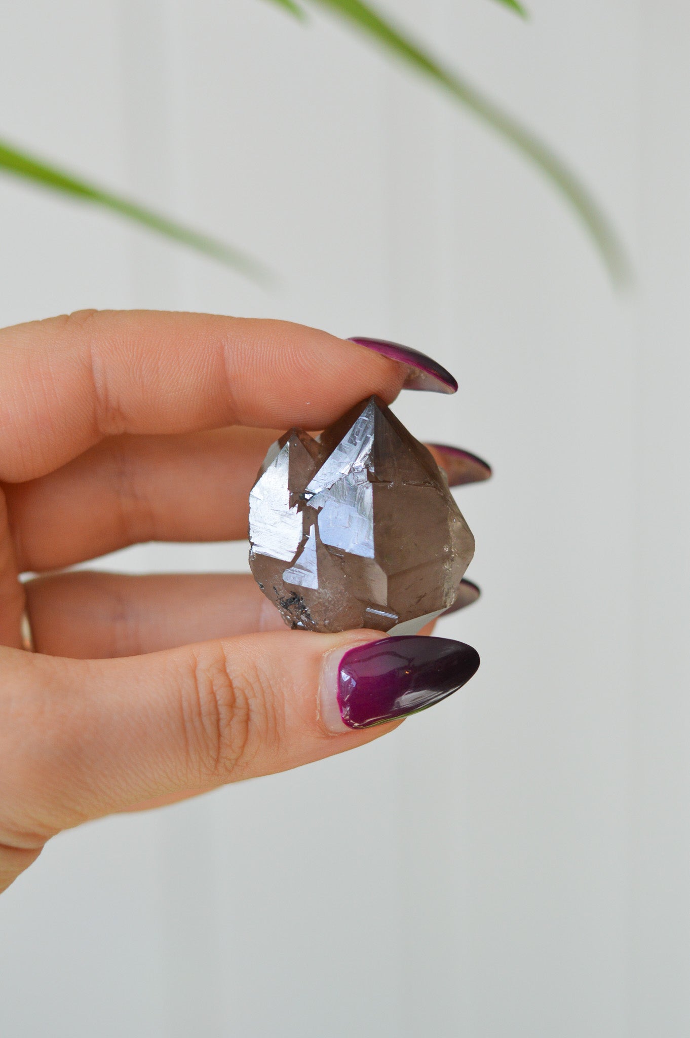 Cumbrian Smokey Quartz Specimen