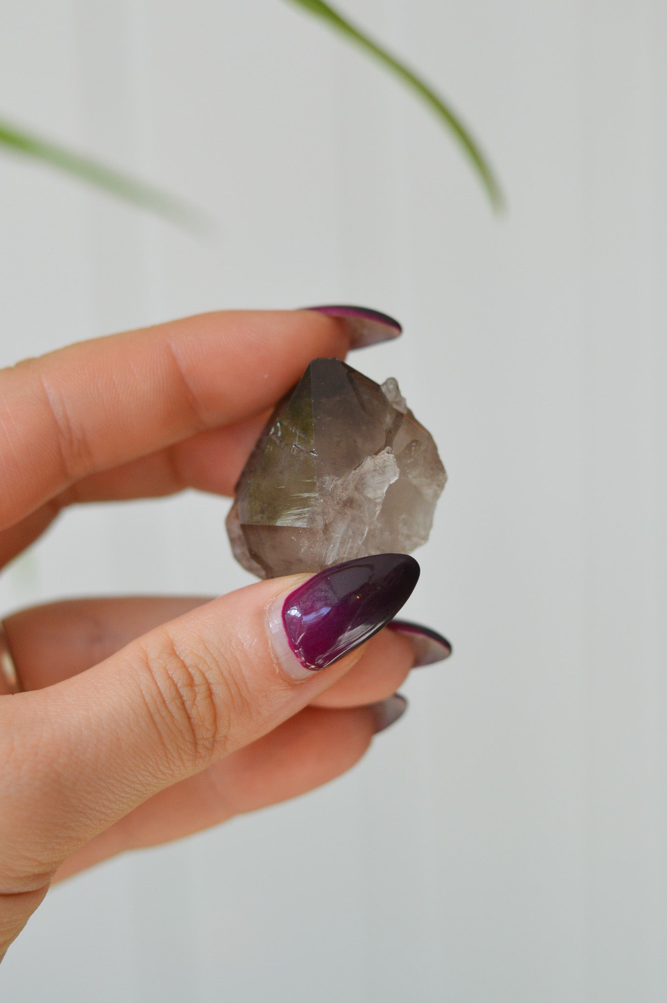 Cumbrian Smokey Quartz Specimen