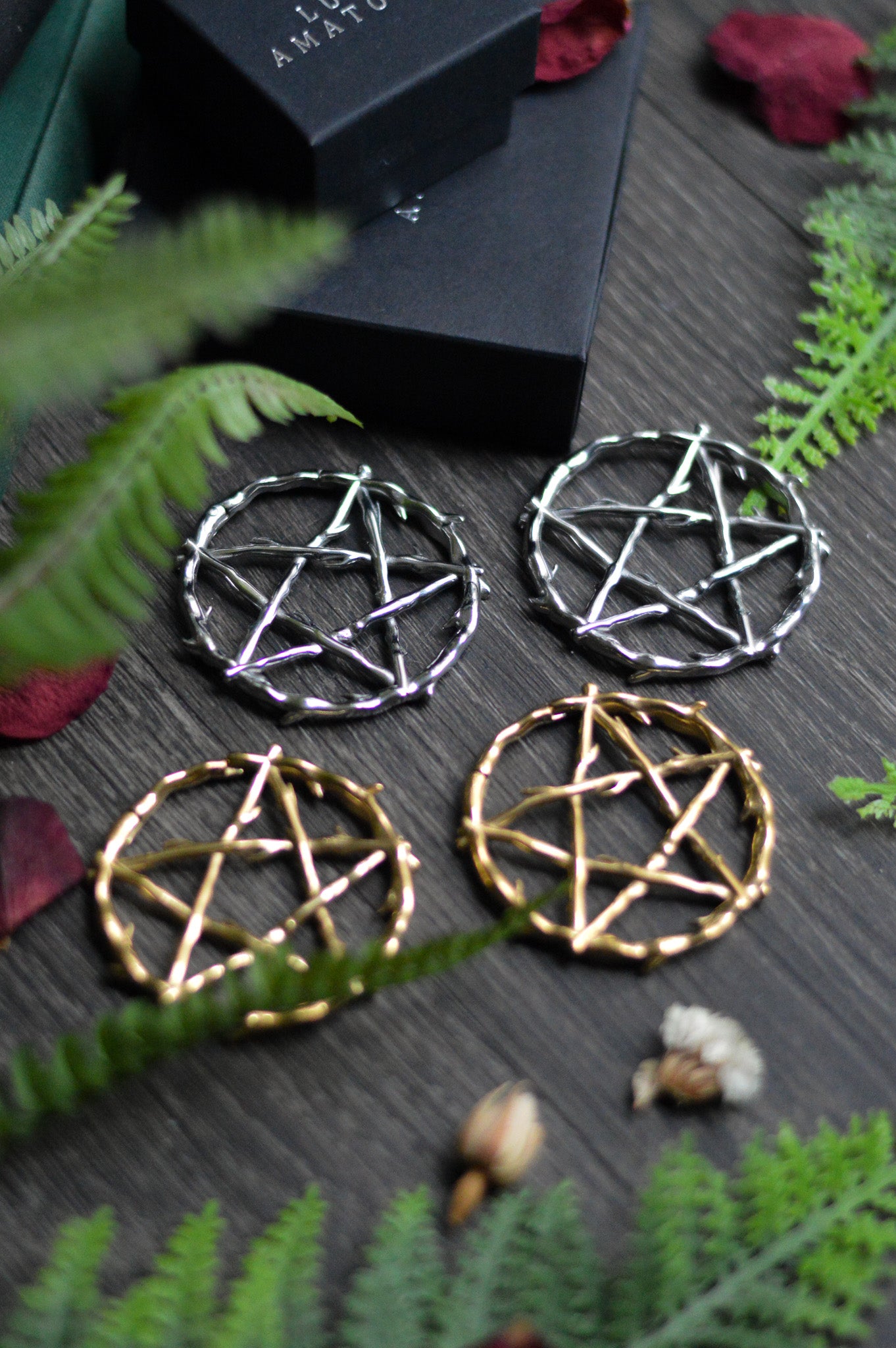 Pentagram Ear Weights