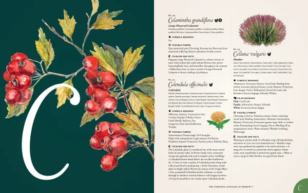 The Complete Language Of Herbs